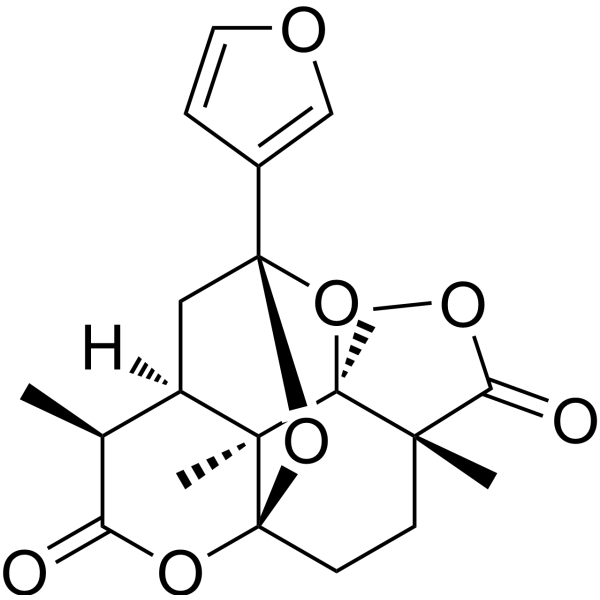 Saudin – Figure 1 of 1