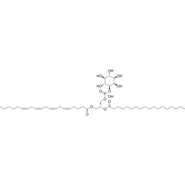 1-Stearoyl-2-arachidonoyl-sn-glycero-3-phosphoinositol – Figure 1 of 1