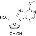 6-Methylmercaptopurine riboside – Figure 1 of 1