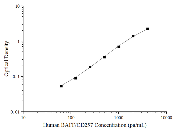 Uncoated Human BAFF/CD257 (B-Cell Activating Factor) ELISA Kit – Figure 1 of 4