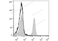 PE Anti-Mouse CD45R/B220 Antibody[RA3.3A 1/6.1] – Figure 1 of 2