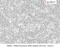 PMS2 Knockout HAP1 Stable Cell Line - Clone I | Applied Biological Materials (abm)