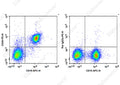 PE Anti-Mouse CD40 Antibody[FGK4.5/FGK45] – Figure 1 of 2