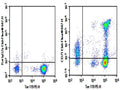 Purified Anti-Mouse CD71 Antibody[R17 217.1.3/TIB-219] – Figure 1 of 2