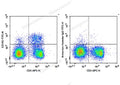 FITC Anti-Mouse CD183/CXCR3 Antibody[CXCR3-173] – Figure 1 of 2