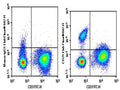 Purified Anti-Human CD21 Antibody[BU32] – Figure 1 of 2
