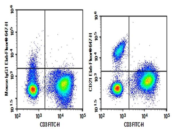 Purified Anti-Human CD21 Antibody[BU32] – Figure 1 of 2