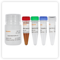 2×Super Canace™ II High-Fidelity Mix for Library Amplification – Figure 1 of 1