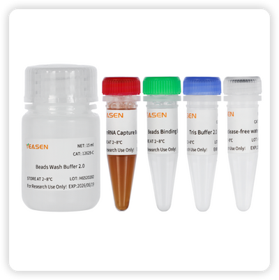 2×Super Canace™ II High-Fidelity Mix for Library Amplification – Figure 1 of 1