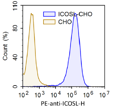 ICOSL-CHO Recombinant Cell Line – Figure 1 of 1