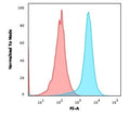 Flow cytometry testing of human Jurkat cells with PE-conjugated CD31 antibody (blue, clone JC/70A) and isotype control (red)