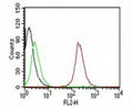 Flow Cytometry testing of MCF-7 cells. Black: cells alone; Green: isotype control; Red: PE-labeled CD63 antibody (SPM524)