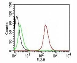 Flow Cytometry testing of MCF-7 cells. Black: cells alone; Green: isotype control; Red: PE-labeled CD63 antibody (SPM524)