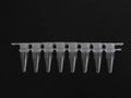 Protein A/G Coated PCR 8 Strip Tubes – Image 3
