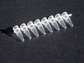Protein A Coated PCR 8 Strip Tubes – Image 1