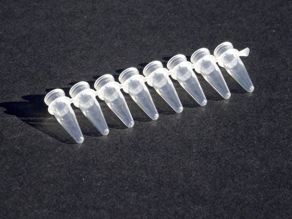 Maleimide Coated PCR 8 Strip Tubes – Image 1