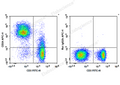 APC Anti-Mouse CD24 Antibody[M1/69] – Figure 1 of 2