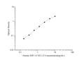 Human SDF-1/CXCL12 (Stromal Cell Derived Factor 1) ELISA Kit – Figure 1 of 3