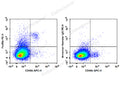 PE Anti-Mouse FcεRIα Antibody[MAR-1] – Figure 1 of 3