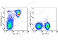 Elab Fluor® 647 Anti-Mouse CD24 Antibody[M1/69] – Figure 3 of 5