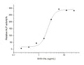 Recombinant Human Sonic Hedgehog/SHH Protein (aa 1-197, His Tag) – Figure 1 of 2