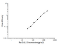 Rat GAL1 (Galectin 1) ELISA Kit – Figure 1 of 3