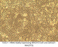 HRAS Stably Expressing Transformed NIH/3T3 Cell Line (GhrasT-NIH/3T3) | Applied Biological Materials (abm)