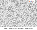 Human FLT3-ITD Y842C Ba/F3 Stable Cell Line | Applied Biological Materials (abm)