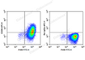 APC Anti-Mouse CD206/MMR Antibody[C068C2] – Figure 1 of 2