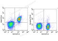 FITC Anti-Mouse CD40 Antibody[FGK4.5/FGK45] – Figure 1 of 2