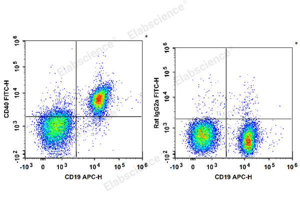 FITC Anti-Mouse CD40 Antibody[FGK4.5/FGK45] – Figure 1 of 2
