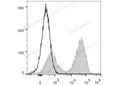 PerCP/Cyanine5.5 Anti-Mouse MHC II (I-A/I-E) Antibody[M5/114] – Figure 1 of 2