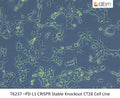 PD-L1 CRISPR Stable Knockout CT26 Cell Line | Applied Biological Materials (abm)