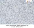 Immortalized Myeloid Monocyte Cells (mGB8e-C57-Cas9GFP) – Figure 1 of 1