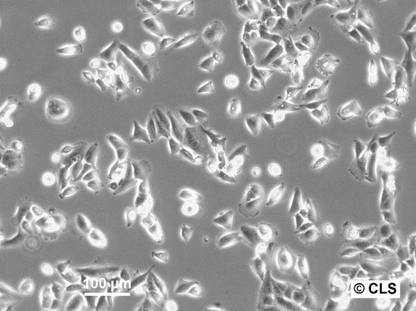 KHOS-NP cell