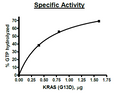 KRAS (G13D), Isoform B, His-Tag Recombinant – Figure 1 of 4