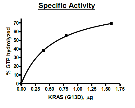 KRAS (G13D), Isoform B, His-Tag Recombinant – Figure 1 of 4