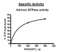 KRAS, Isoform B, His-Tag Recombinant – Figure 1 of 4