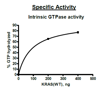 KRAS, Isoform B, His-Tag Recombinant – Figure 1 of 4