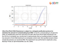 Ultra-Pure Phi29 DNA Polymerase