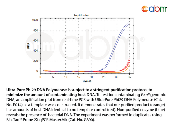 Ultra-Pure Phi29 DNA Polymerase