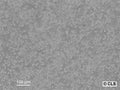 L5178-R cell