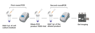 GMyc-PCR Mycoplasma Detection Kit (2G)