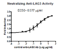 Anti-LAG3, Neutralizing Antibody – Figure 1 of 3