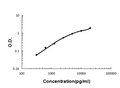 Sandwich ELISA - Recombinant human Cystatin C/CST3 protein standard curve.

Use in combination with reagents from Human Cystatin C/CST3 ELISA Kit EZ-Set (DIY Antibody Pairs) (EZ0678).