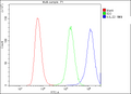 Anti-IL22 Antibody Picoband® (monoclonal, 7F2)