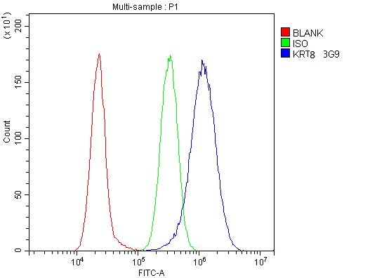 Anti-Cytokeratin 8 KRT8 Antibody Picoband® (monoclonal, 3G9)