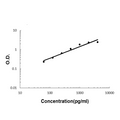 Sandwich ELISA - Recombinant human IL32 protein standard curve.

Use in combination with reagents from Human IL32 ELISA Kit EZ-Set (DIY Antibody Pairs) (EZ1599).