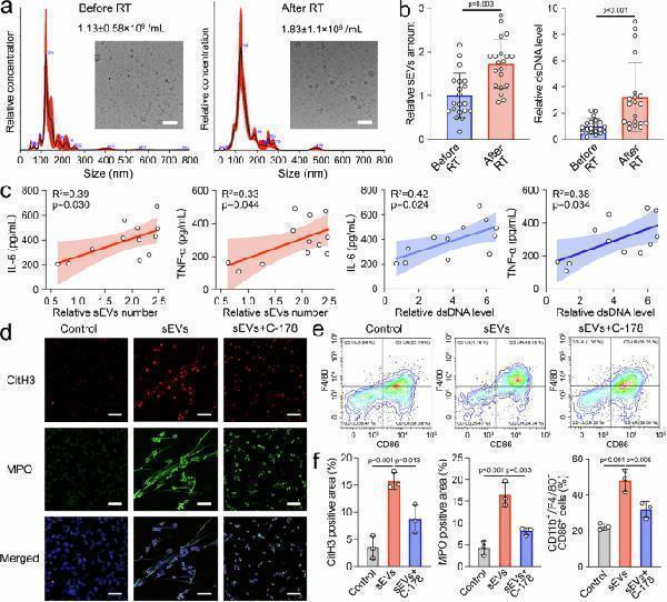 Anti-Histone H3 (mono methyl K36) HIST1H3A Rabbit Monoclonal Antibody