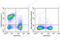 PE/Cyanine5.5 Anti-Mouse CD22 Antibody[Cy34.1] – Figure 1 of 2